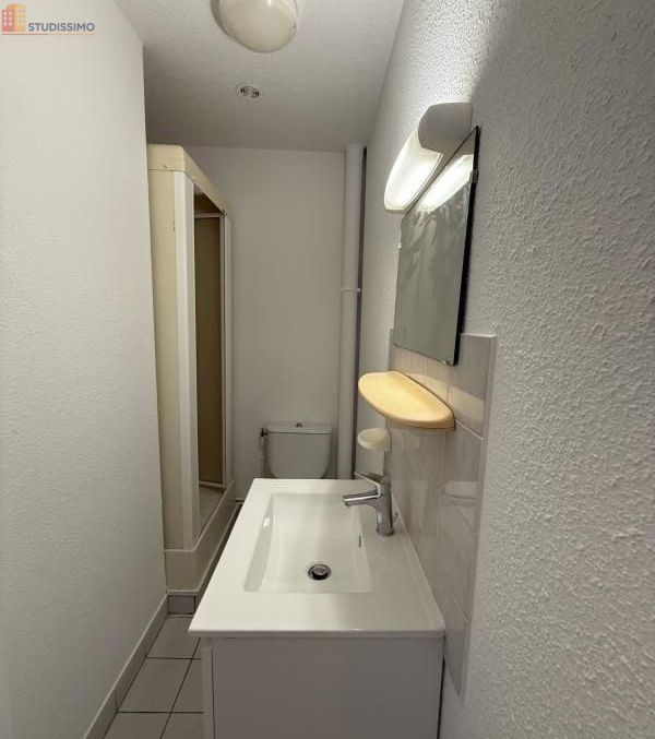 Studio 17m² Le Puy-en-Velay - 1er étage, lumineux - Photo 3