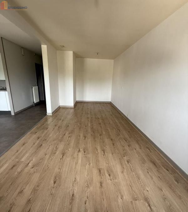 Studio 39m² Brives-Charensac - Étage élevé, lumineux - Photo 4