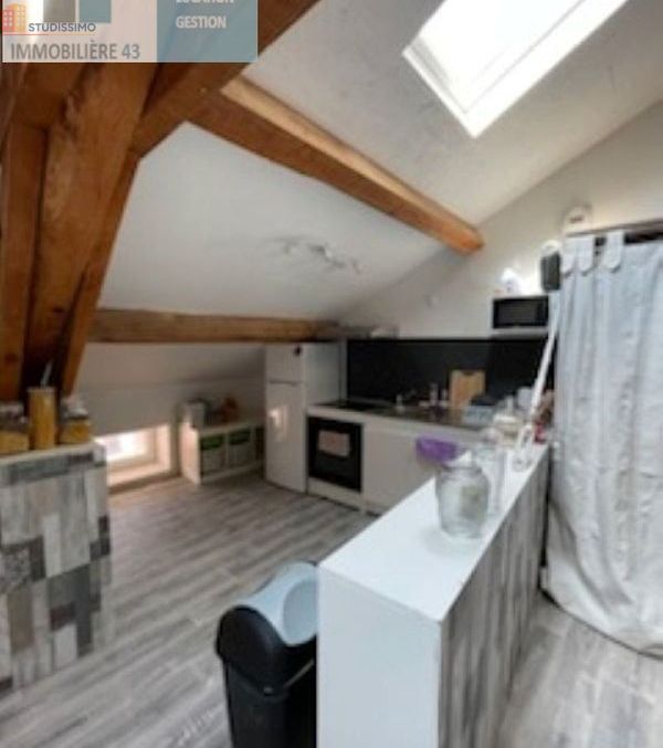 Studio 45m² Espaly-Saint-Marcel - Lumineux, dernier étage - Photo 3
