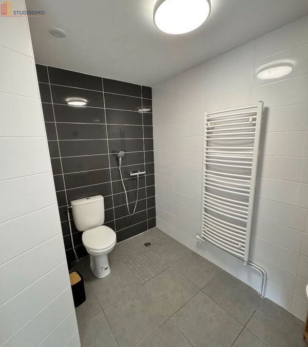 Studio meublé 22m² Yssingeaux - Meublé, DPE C - Photo 77