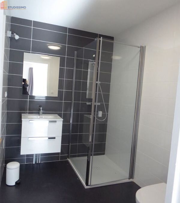 Studio meublé 22m² Yssingeaux - Meublé, DPE C - Photo 64