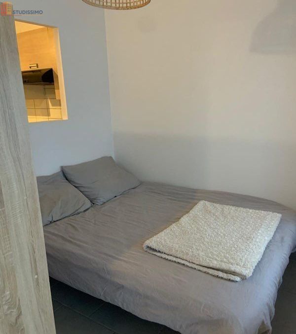Studio 31m² Le Puy-en-Velay - Meublé, lumineux - Photo 3