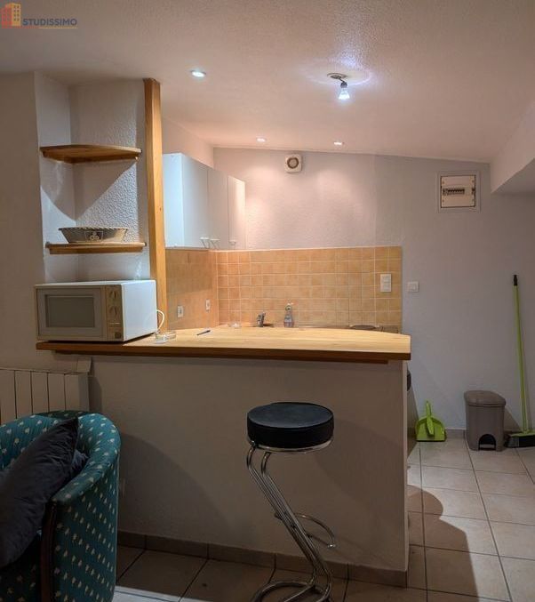 Studio 24m² Le Puy-en-Velay - Meublé, dernier étage - Photo 5