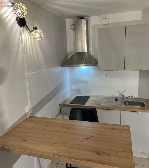 Studio 23m² Le Puy-en-Velay - Entièrement rénové - Photo 29