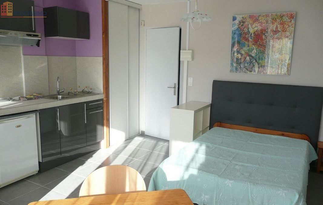 Studio meublé 24m² Le Puy-en-Velay - Calme, vue - Photo 0