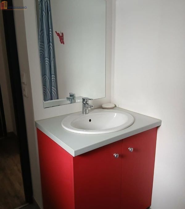 Studio 22m² Yssingeaux - Meublé, lumineux - Photo 5