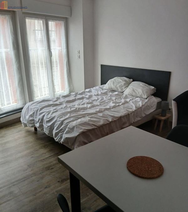 Studio 22m² Yssingeaux - Meublé, lumineux - Photo 3