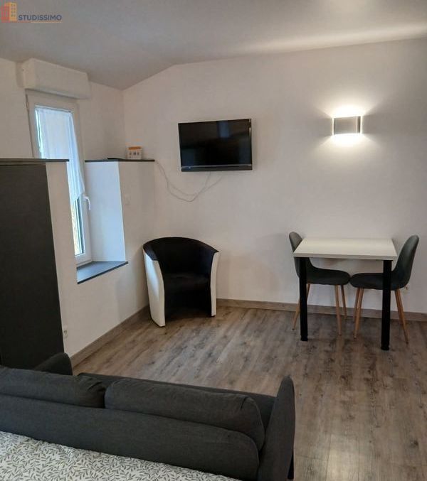 Studio meublé 22m² Yssingeaux - Meublé, 3e étage - Photo 29