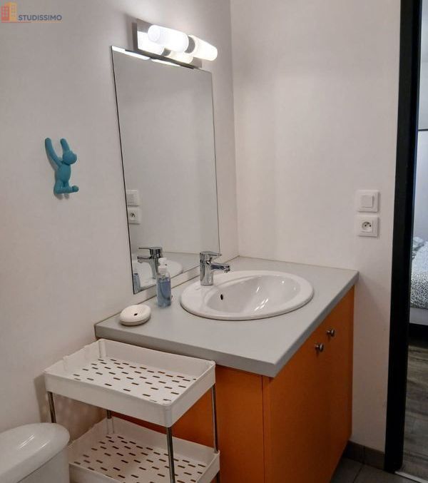 Studio meublé 22m² Yssingeaux - Meublé, 3e étage - Photo 30