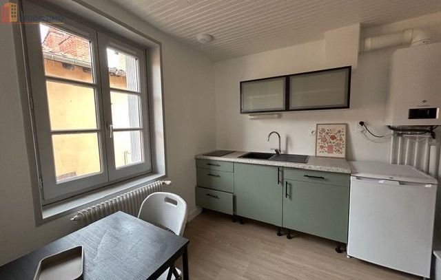 Studio meublé 28m² Le Puy-en-Velay - Entièrement rénové - Photo 4