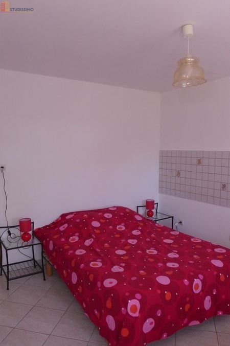 Studio 20m² Loireauxence 44370 - Meublé, DPE D - Photo 4