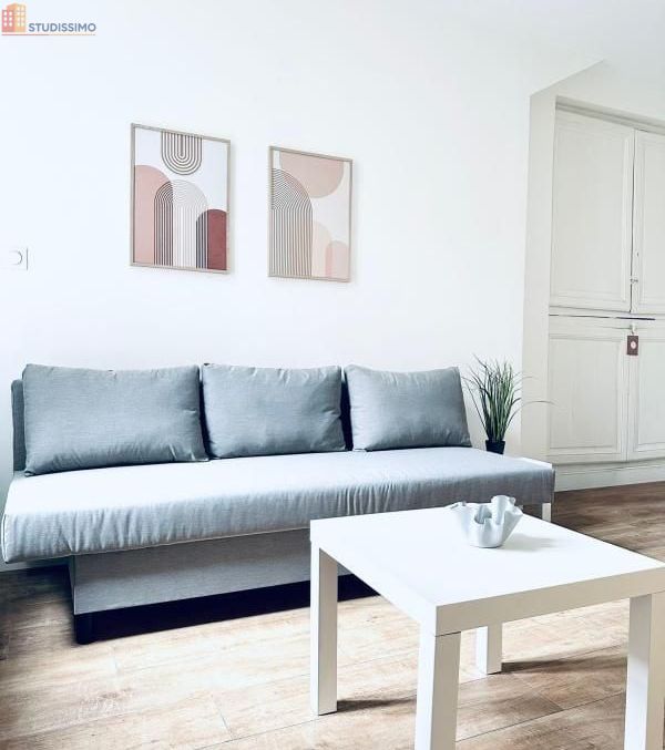 Studio meublé 18m² Orléans - Meublé, DPE C - Photo 3
