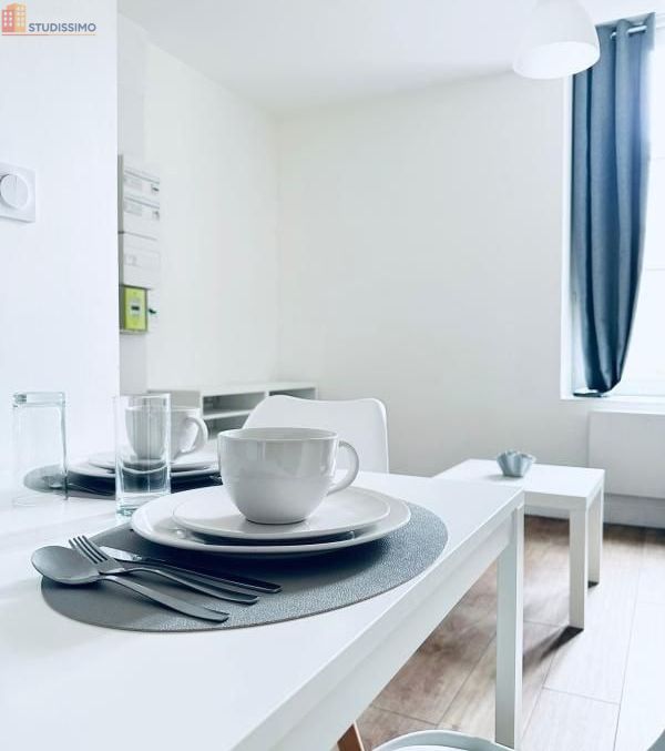 Studio meublé 18m² Orléans - Meublé, DPE C - Photo 4