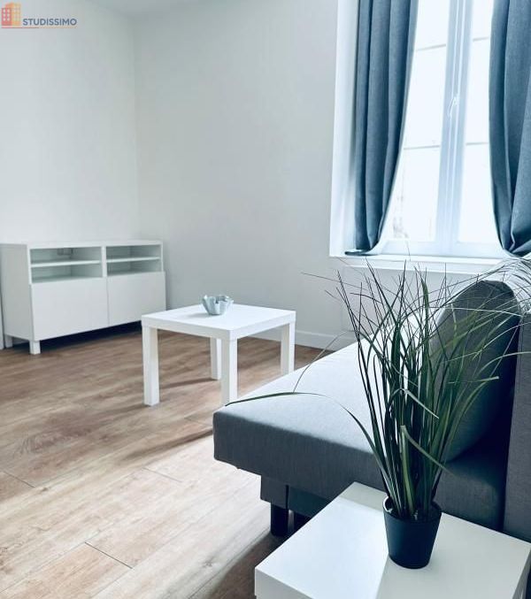 Studio meublé 18m² Orléans - Meublé, DPE C - Photo 1