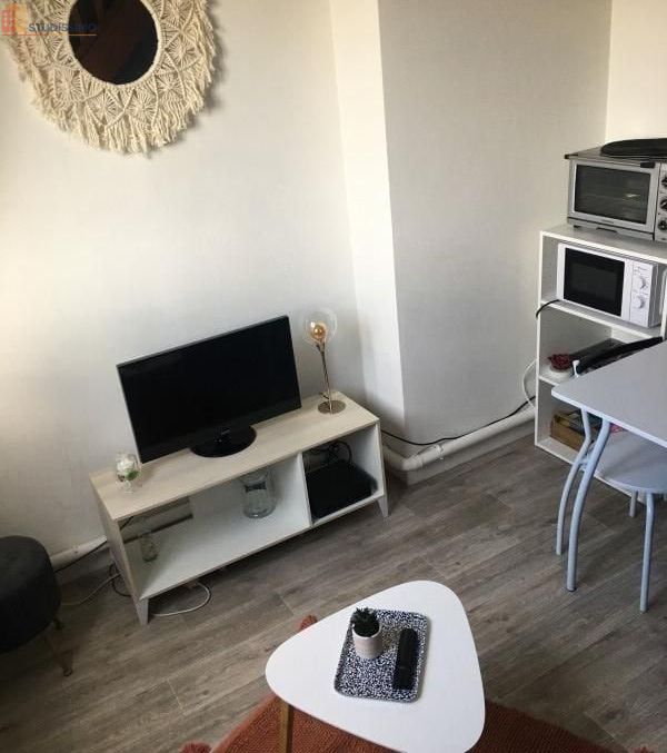 Studio 25m² Orléans - 3e étage, lumineux - Photo 11