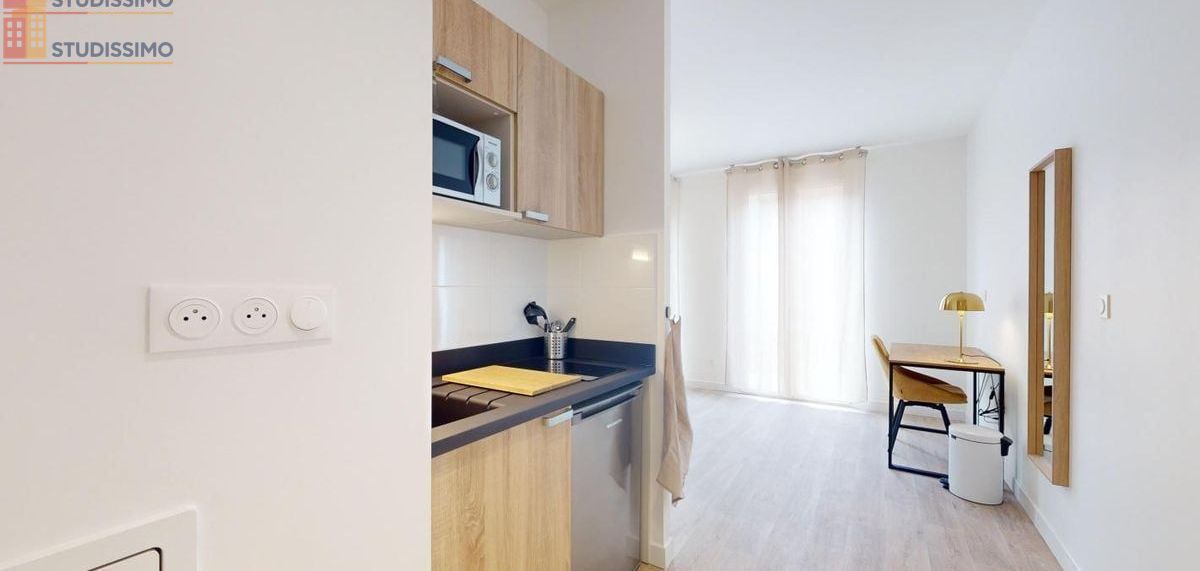Studio 29m² Nantes 44200 - Meublé, DPE B - Photo 50