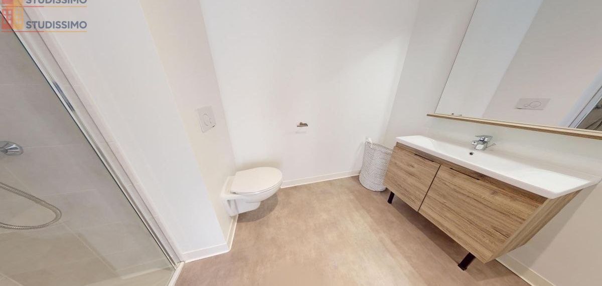 Studio 29m² Nantes 44200 - Meublé, DPE B - Photo 43