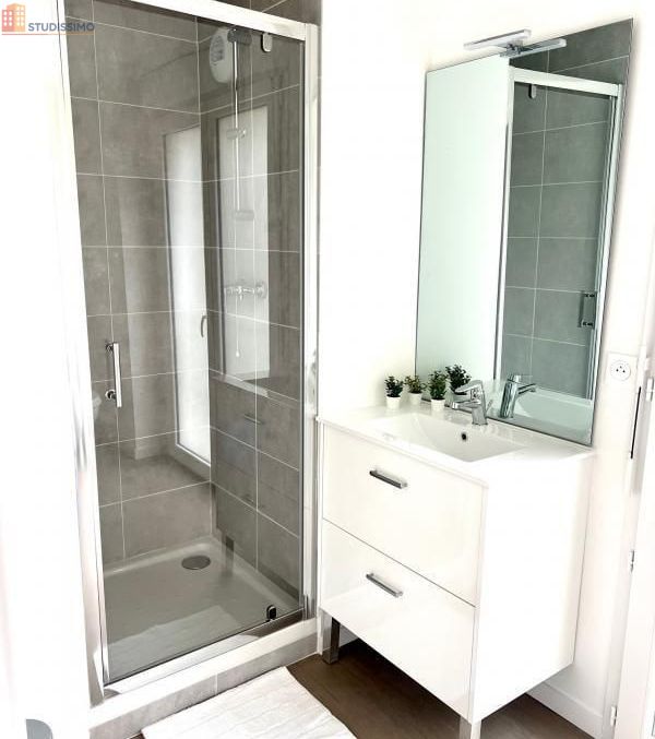 Studio meublé 18m² Orléans 45100 - Meublé, DPE B - Photo 3