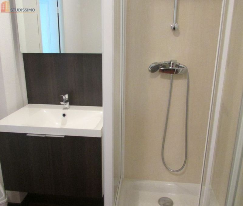 Studio meublé 28m² Sautron - Balcon, meublé - Photo 13