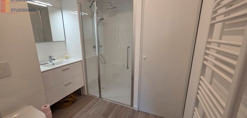Studio meublé 35m² Orléans centre - Lumineux, bonne isolation DPE A - Photo 11