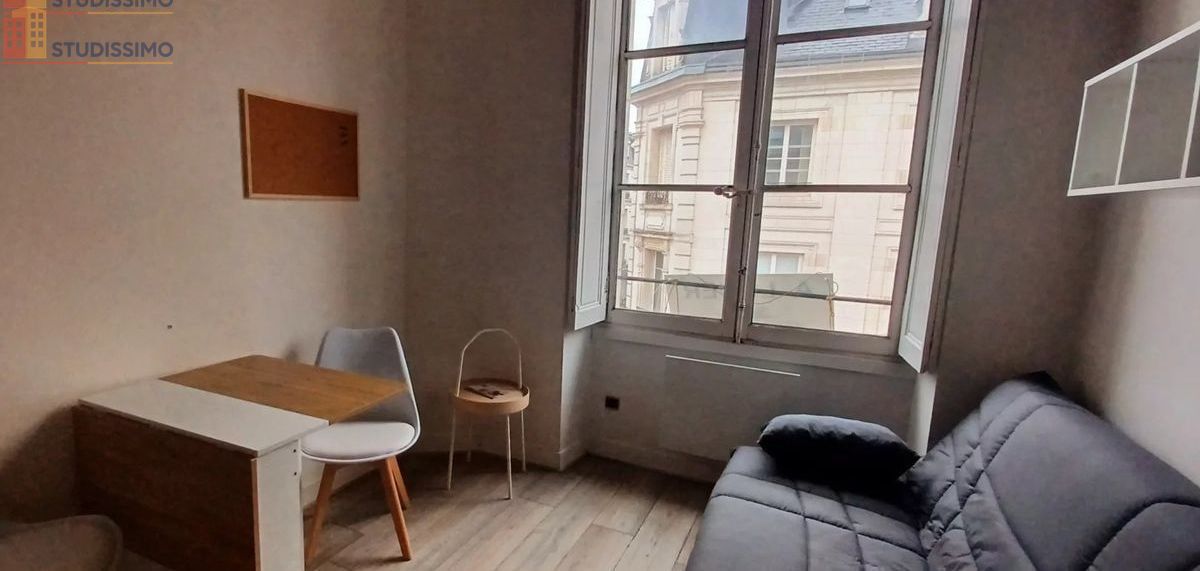 Studio 12m² Orléans 45000 - Photo 5