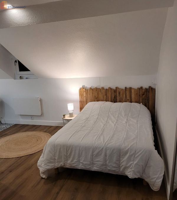 Studio meublé 23m² Nantes centre - Lumineux, 3e étage - Photo 11