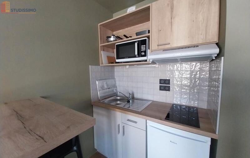 Studio 19m² Orléans - Meublé, DPE C - Photo 14