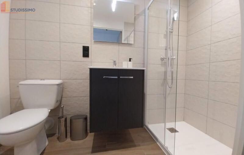 Studio 19m² Orléans - Meublé, DPE C - Photo 12