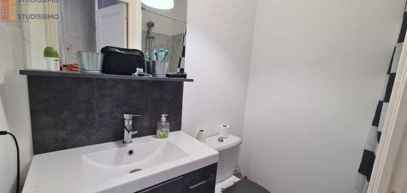 Studio meublé 18m² Orléans centre - Meublé, DPE D - Photo 4