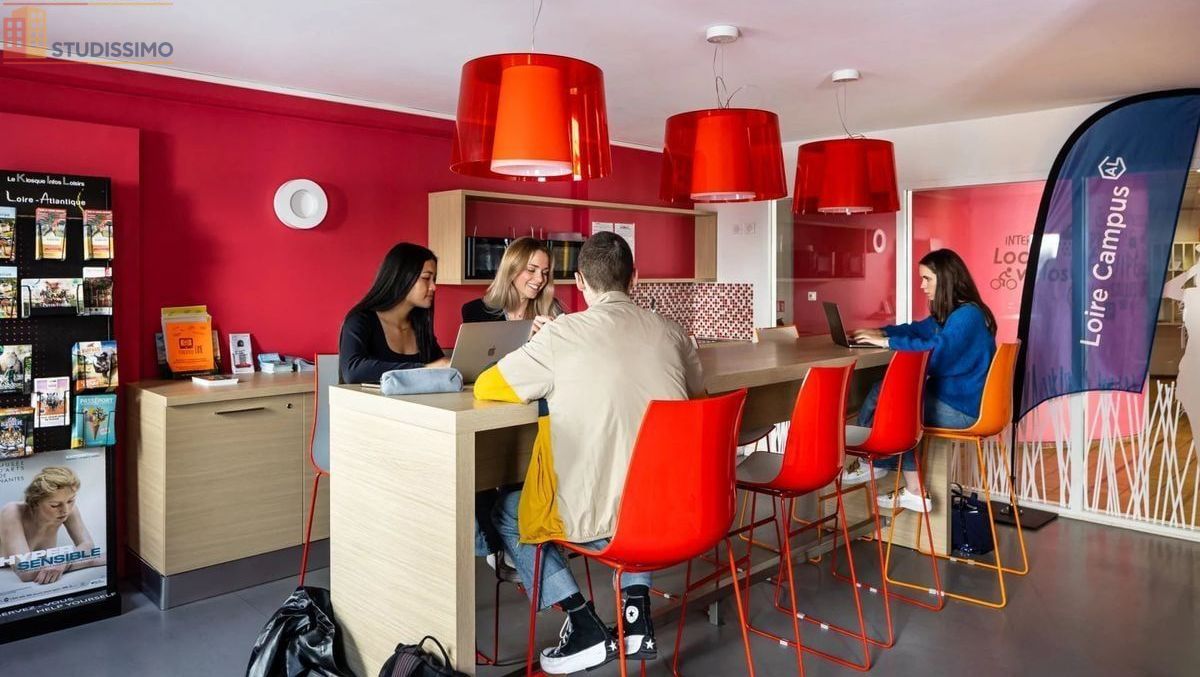 Studio meublé 14m² Nantes 44100 - Étage élevé, lumineux - Photo 11