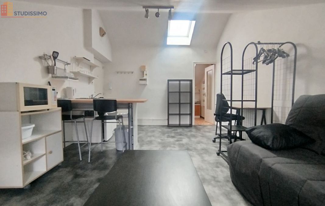 Studio meublé 22m² Nantes centre - Lumineux, 3e étage - Photo 14