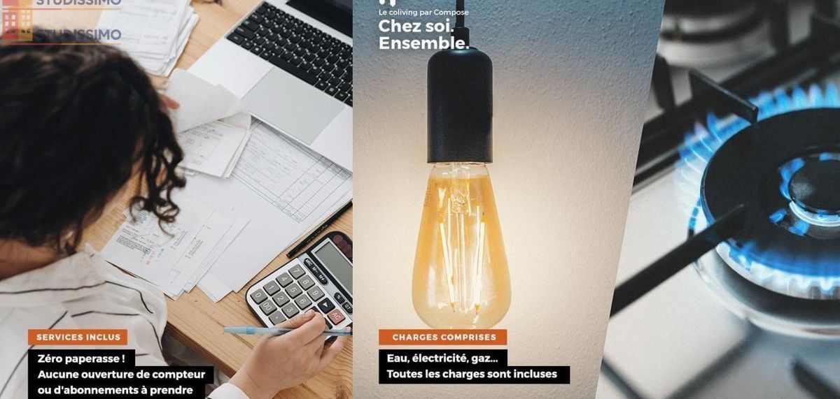 Studio meublé 14m² Nantes 44200 - Meublé, 2e étage - Photo 23