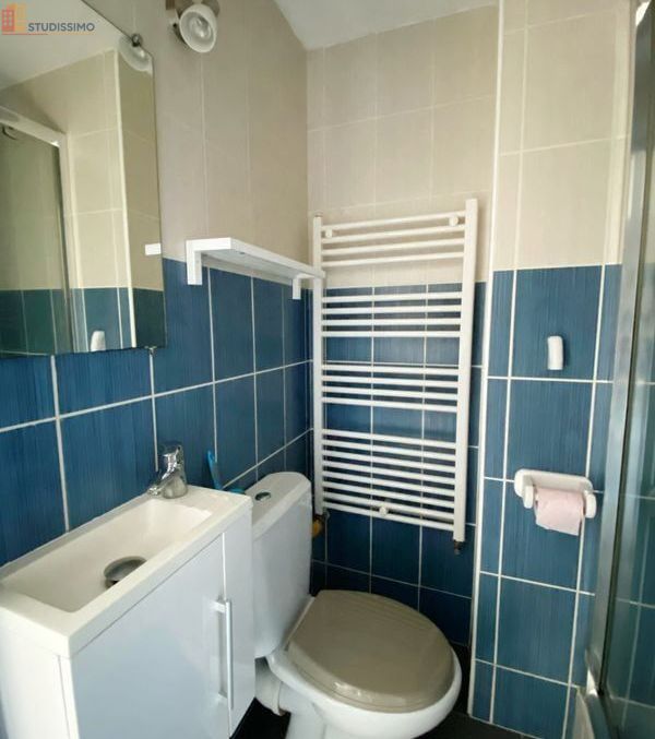 Studio 15m² Sully-sur-Loire - Meublé, DPE C - Photo 1