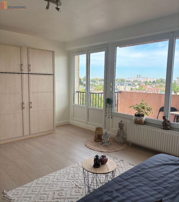 Studio 30m² Saint-Pryvé-Saint-Mesmin - Dernier étage, lumineux - Photo 9