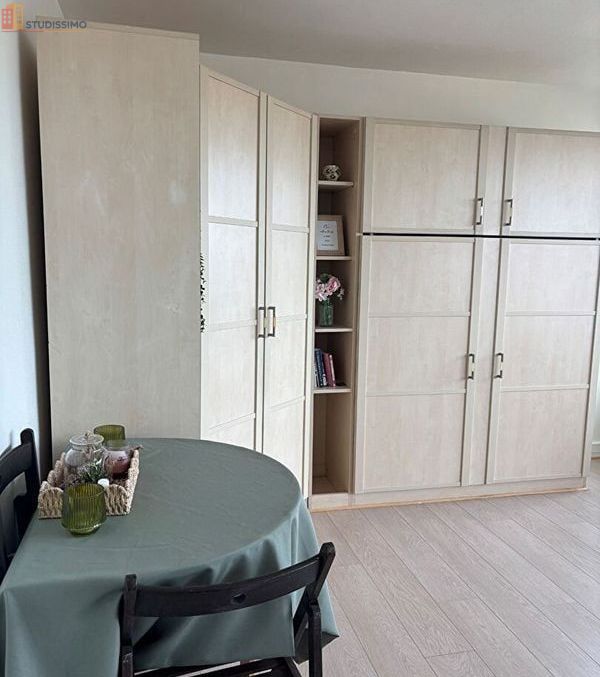 Studio 30m² Saint-Pryvé-Saint-Mesmin - Dernier étage, lumineux - Photo 6