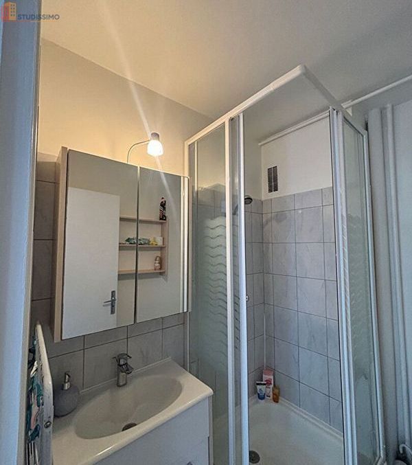 Studio 30m² Saint-Pryvé-Saint-Mesmin - Dernier étage, lumineux - Photo 1