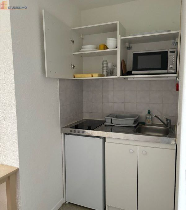 Studio meublé 19m² Saint-Jean-le-Blanc - Meublé, DPE D - Photo 2