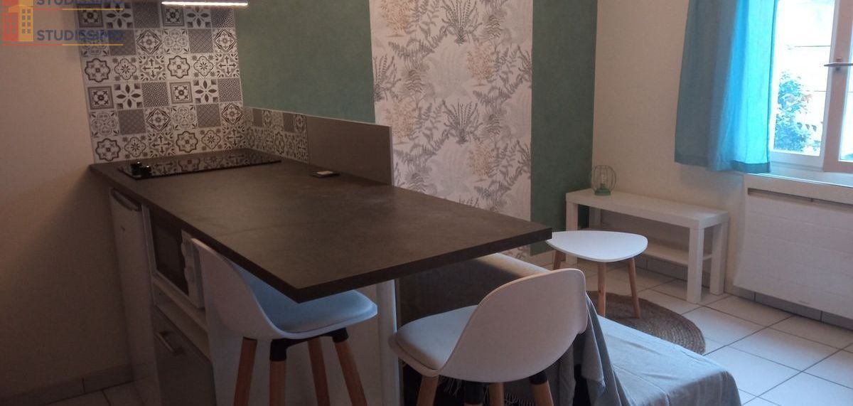 Studio 20m² Fleury-les-Aubrais - Meublé, DPE D - Photo 7
