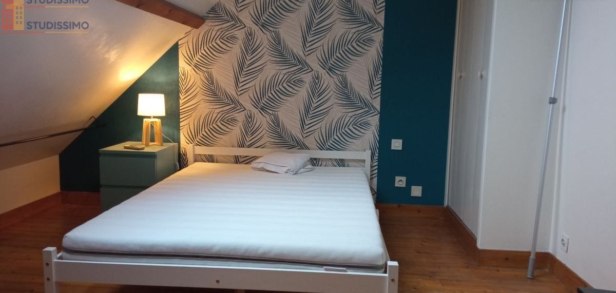 Studio 20m² Fleury-les-Aubrais - Meublé, DPE D - Photo 6