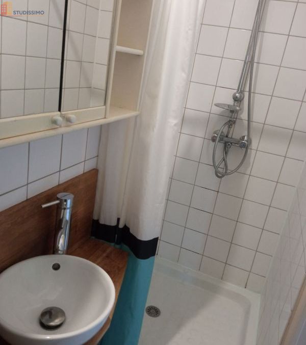 Studio 20m² Fleury-les-Aubrais - Meublé, DPE D - Photo 2