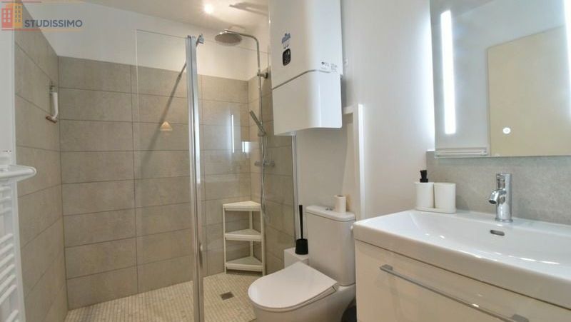 Studio meublé 24m² Sainte-Livrade-sur-Lot - Meublé, DPE C - Photo 3