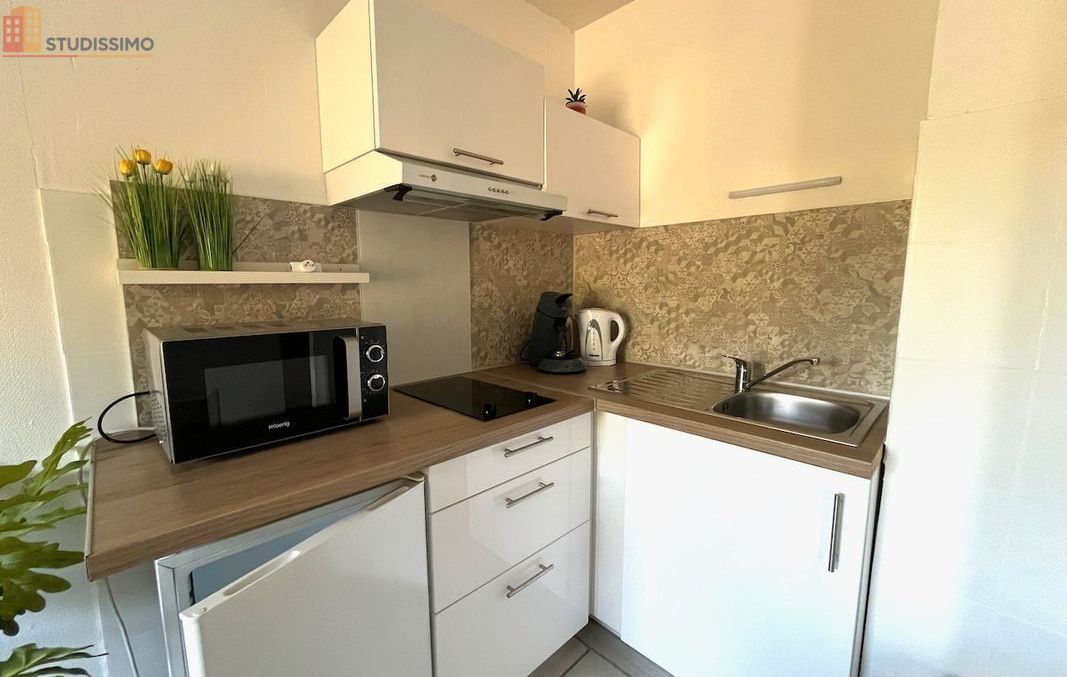 Studio meublé 25m² Villeneuve-sur-Lot - Meublé, DPE C - Photo 10