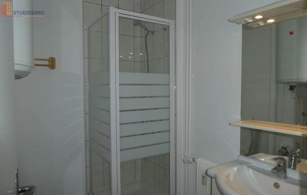 Studio 30m² Orléans 45000 - Dernier étage, lumineux - Photo 6