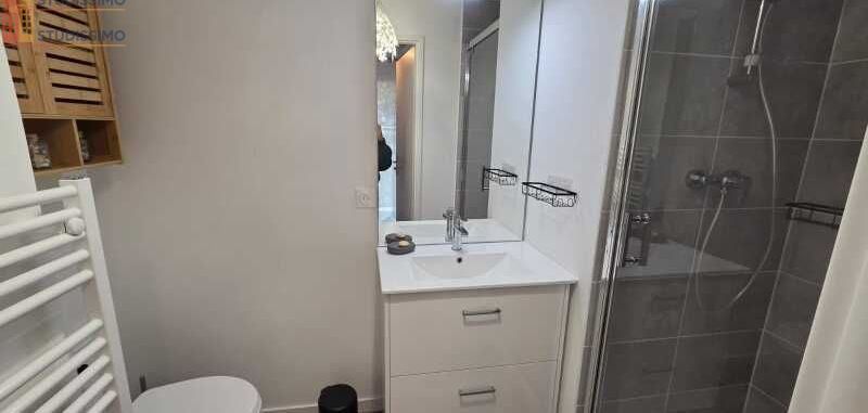 Studio meublé 20m² Orléans 45100 - Meublé, DPE C - Photo 6