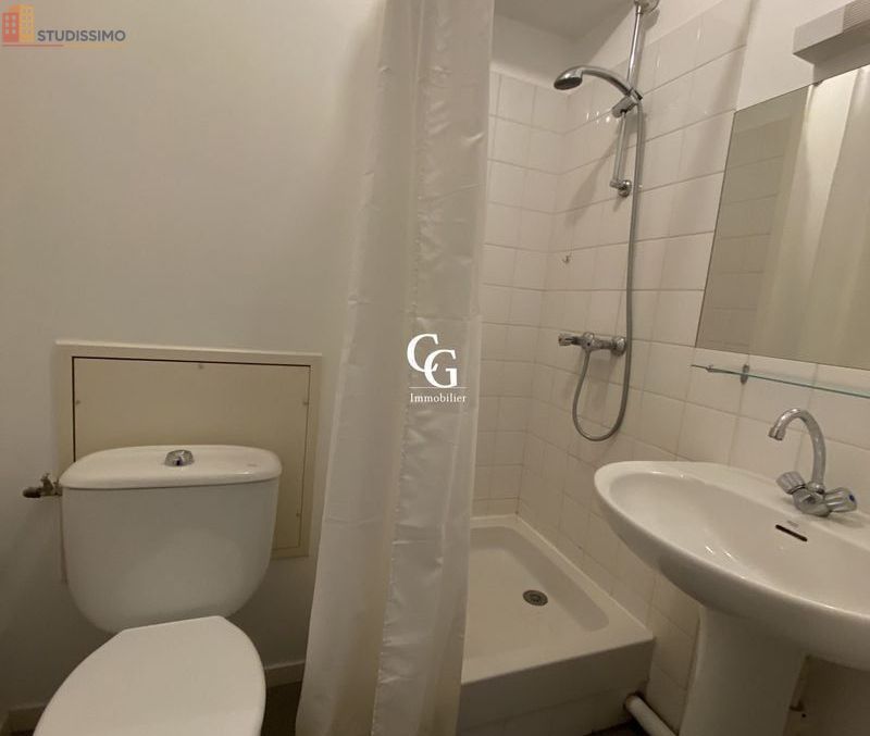 Studio 18m² Nantes 44000 - Étage élevé, DPE D - Photo 3