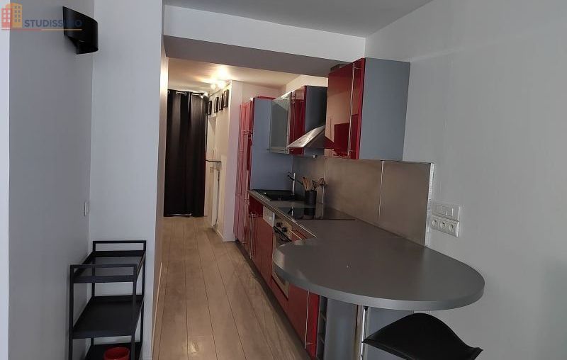Studio meublé 48m² Orléans centre - Lumineux, 2e étage - Photo 13