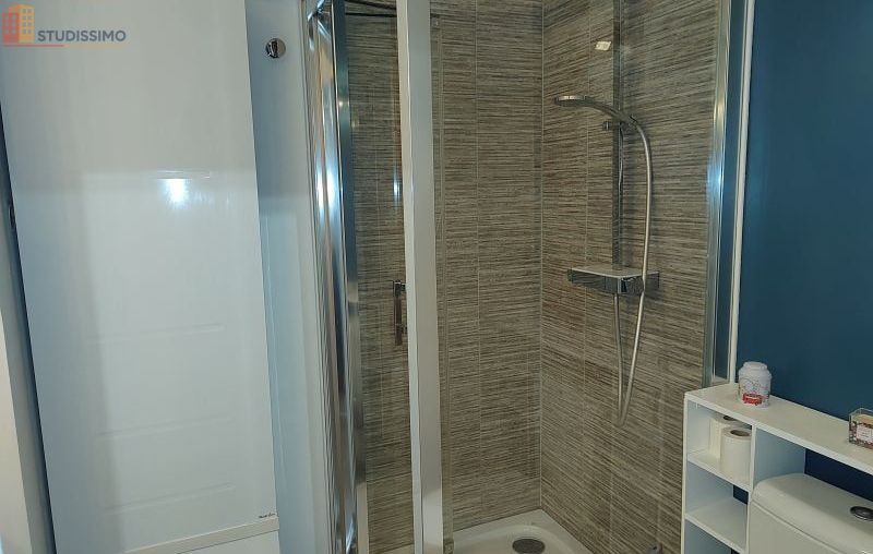 Studio meublé 48m² Orléans centre - Lumineux, 2e étage - Photo 7