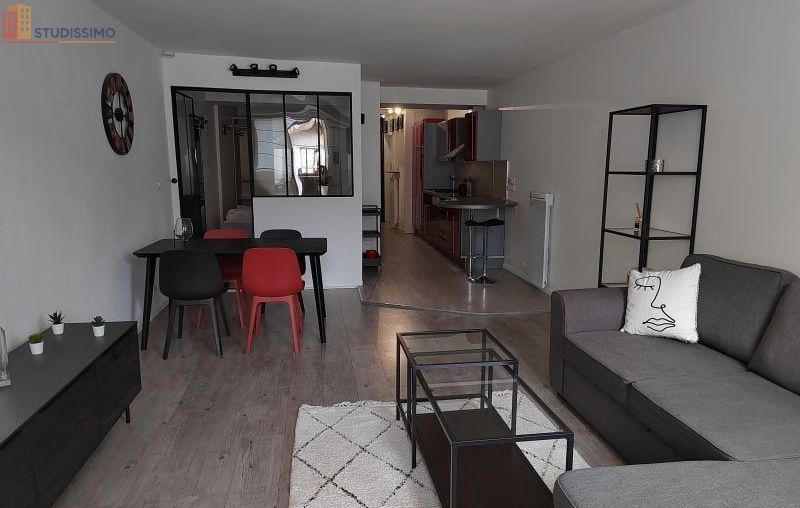 Studio meublé 48m² Orléans centre - Lumineux, 2e étage - Photo 5
