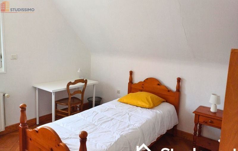 Studio meublé 10m² Nantes 44300 - Calme, lumineux - Photo 3