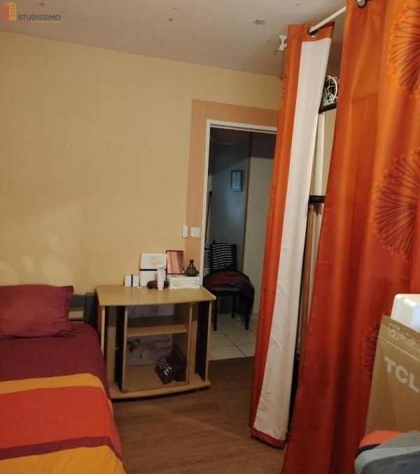 Studio meublé 40m² Nantes 44100 - Lumineux, grand séjour - Photo 1